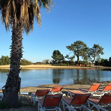 La De Lise * Lège-Cap-Ferret